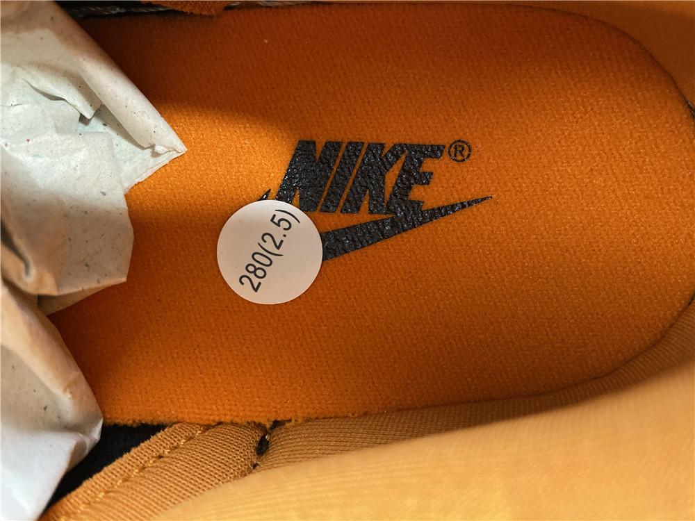Dunk Low Ceramic Shoes Sneakers – nk0001342