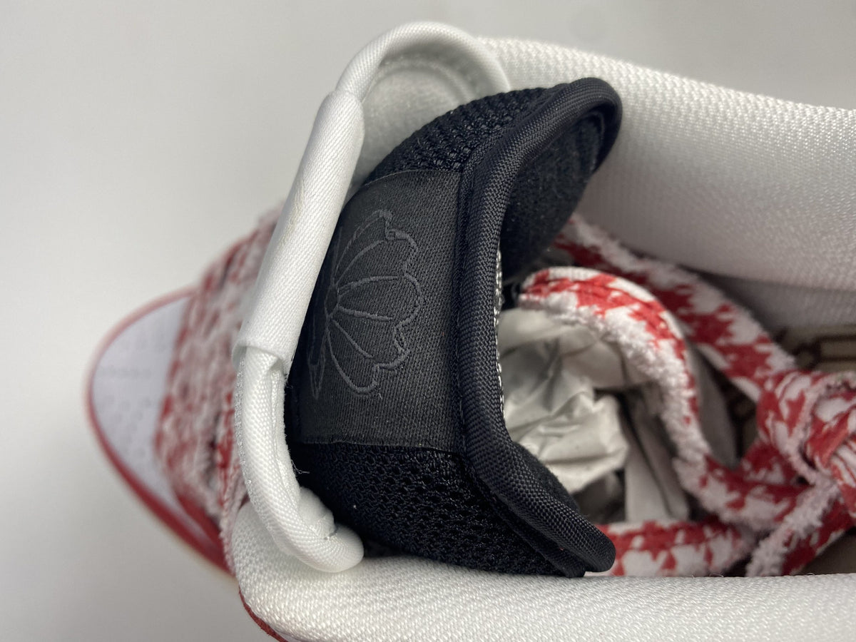 SB Dunk Frame Skate Low Shoes Sneakers – nk0001422