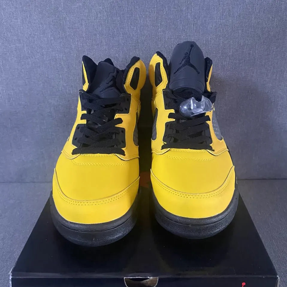 AJ 5 Retro Michigan (2019) Shoes Sneakers – nk0000157