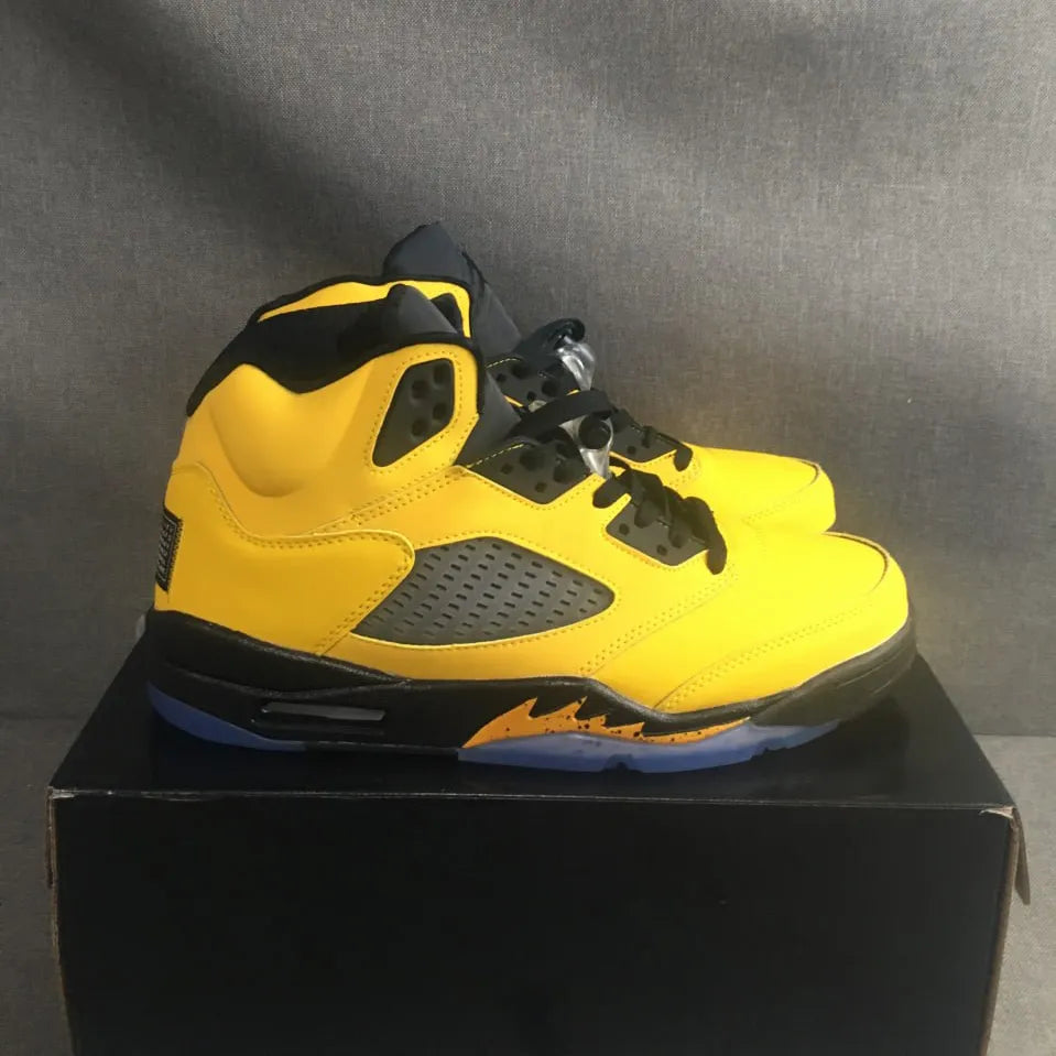 AJ 5 Retro Michigan (2019) Shoes Sneakers – nk0000157