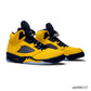 AJ 5 Retro Michigan (2019) Shoes Sneakers – nk0000157