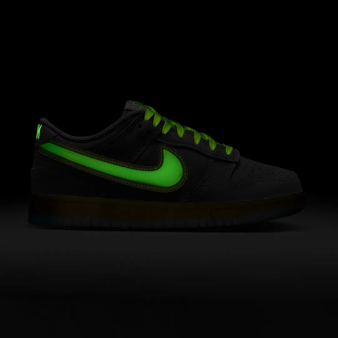 Dunk Low Glow in the Dark Shoes Sneakers – nk0004669